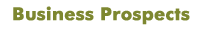 business prospects