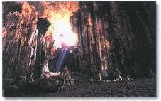 Gomantong Cave