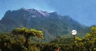 Mount Kinabalu from Kinabalu National Park, Sabah Malaysia Borneo