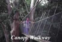 Canopy Walkway at Poring Hot Spring, Sabah Malaysia Borneo